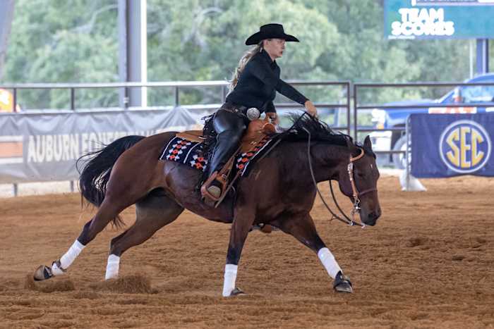 Kate Buchanan of Auburn Equestrian